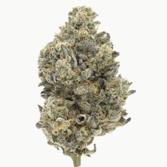 710 Labs - Ztan Lee Flower 14g - 1
