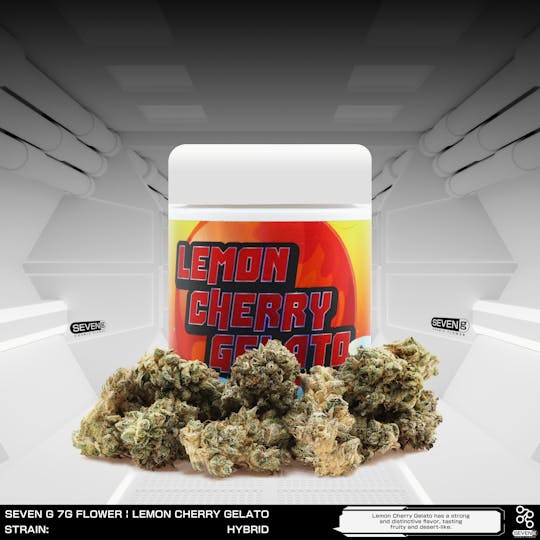 Seven G - Lemon Cherry Gelato Hybrid by Seven G - 1