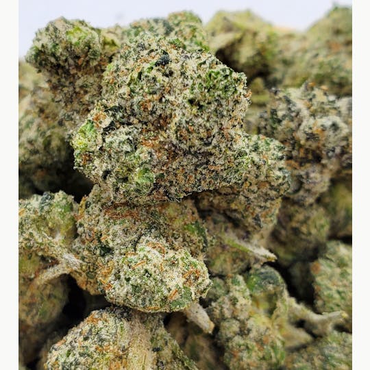 World Class Cannabis - Great White Shark Smalls 14g - 1