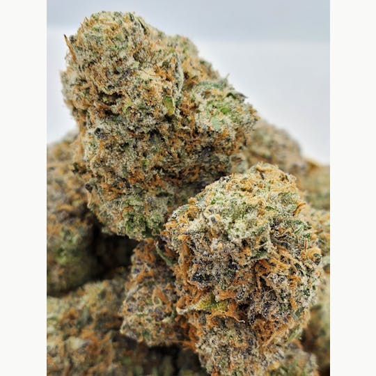 World Class Cannabis - Lemon Pie - 1