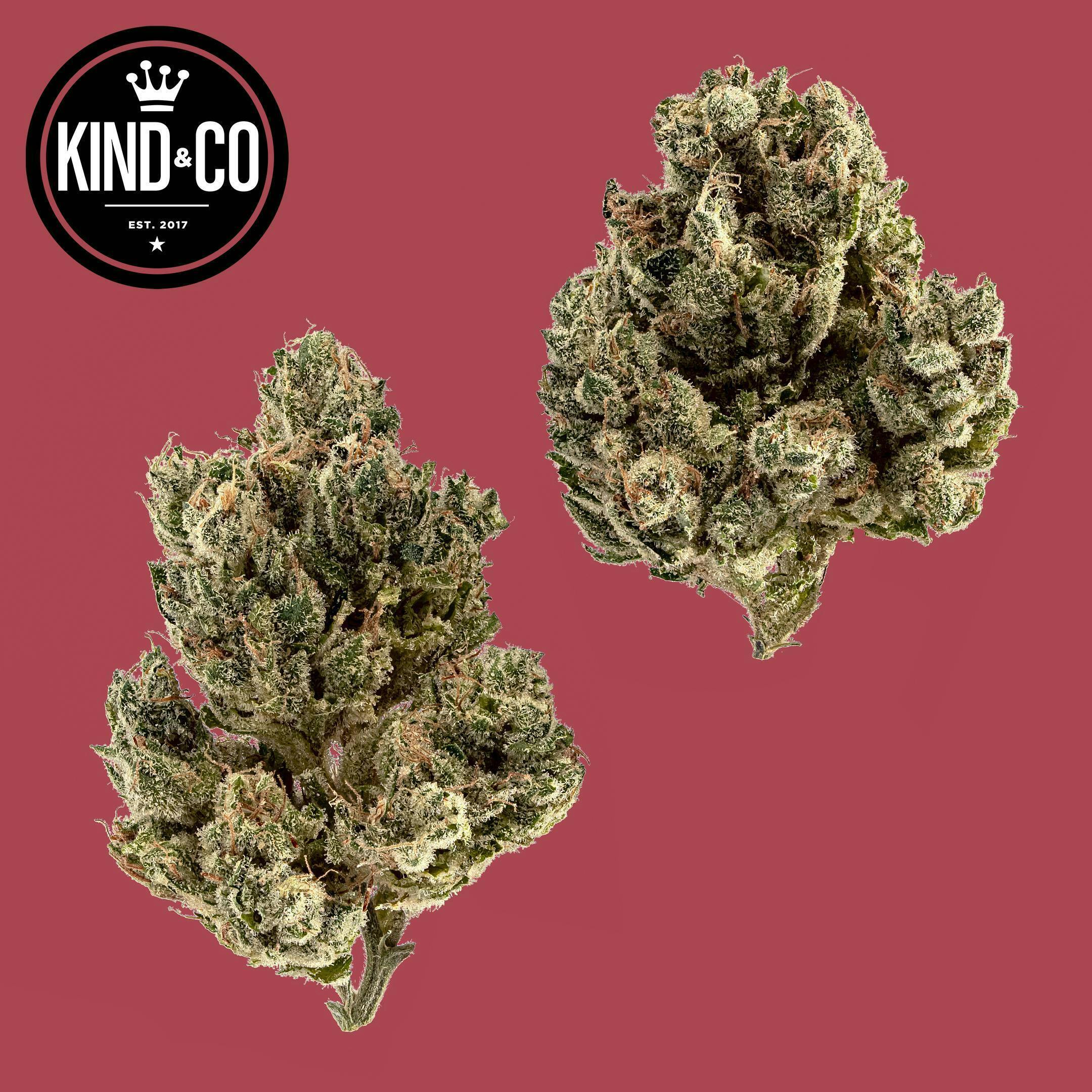 Kind & Co - Chem Fire - 1