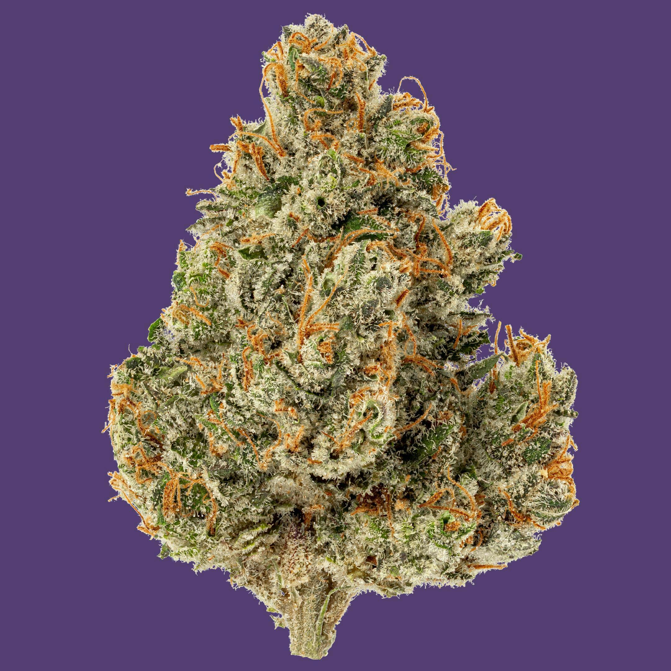Kind & Co - D Haze - 1