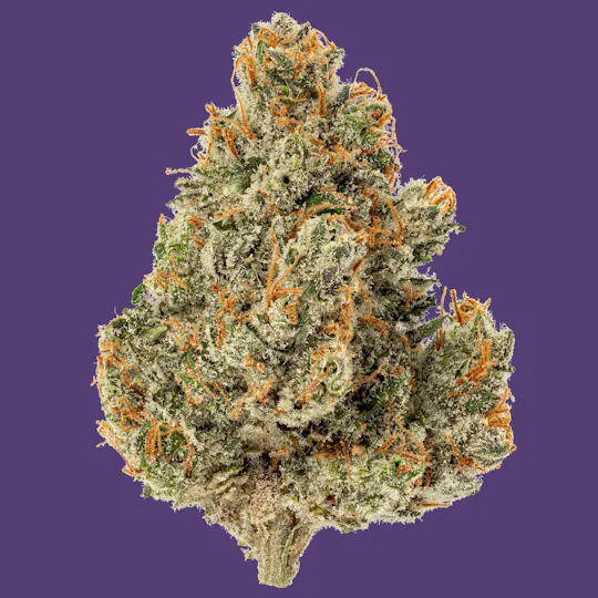 Kind & Co - D Haze - 1