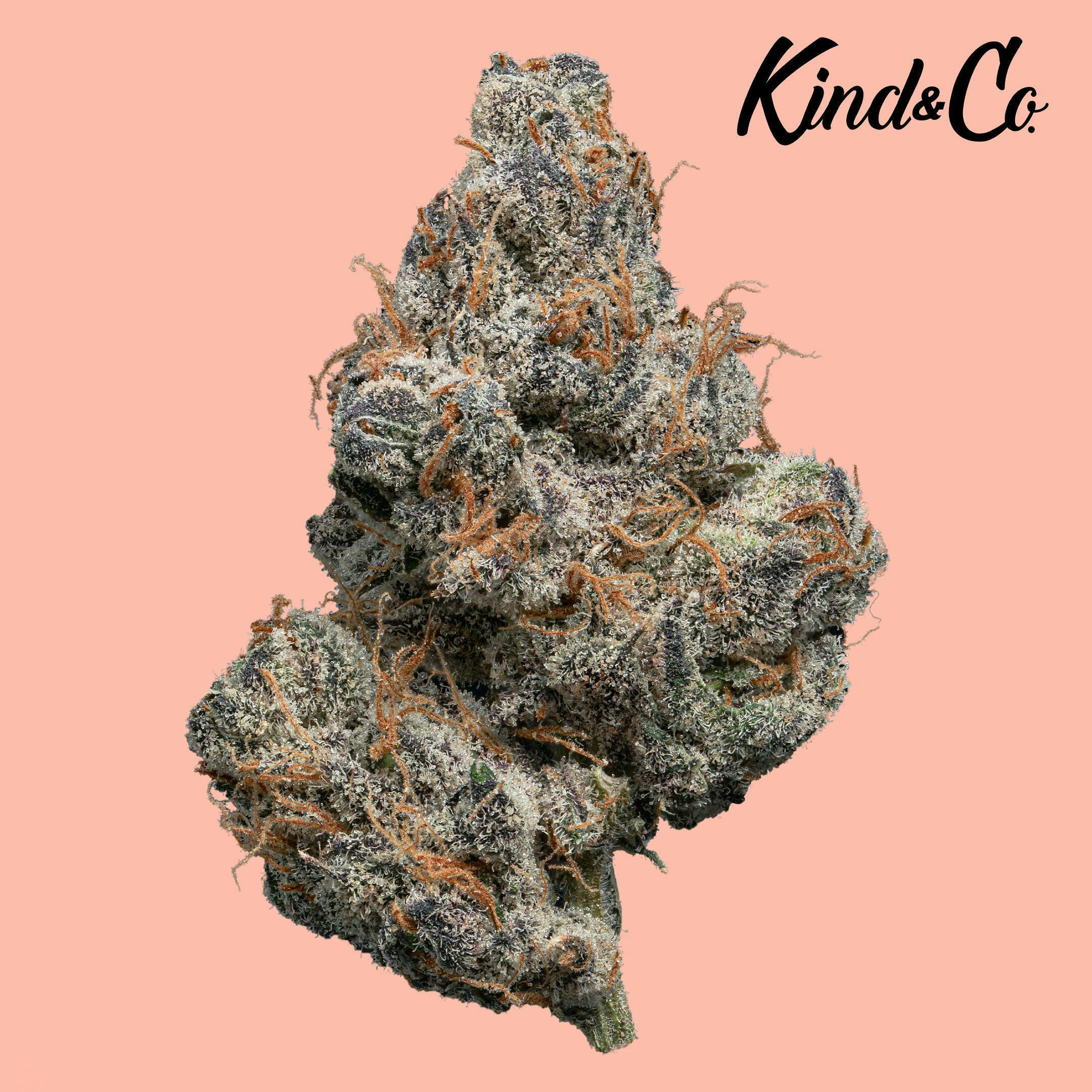 Kind & Co - Lemon Cherry Gelato - 1