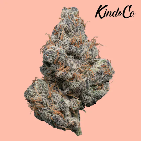 Kind & Co - Lemon Cherry Gelato - 1