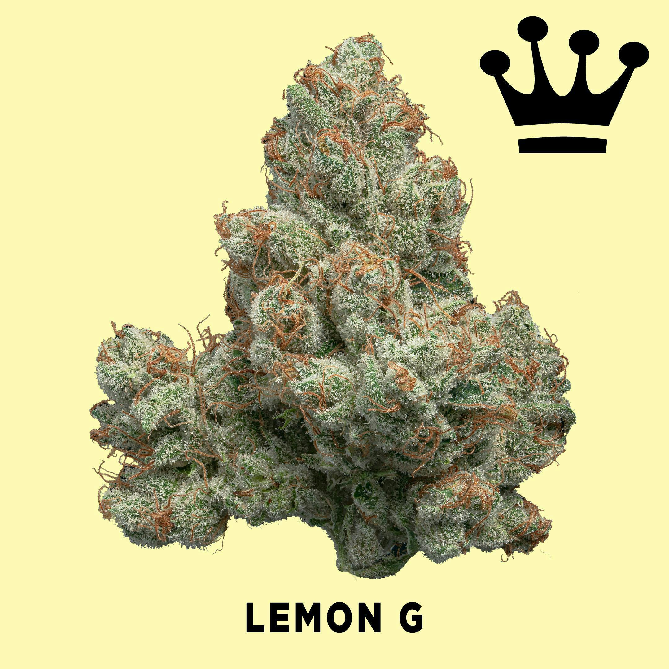 Kind & Co - Lemon G - 1