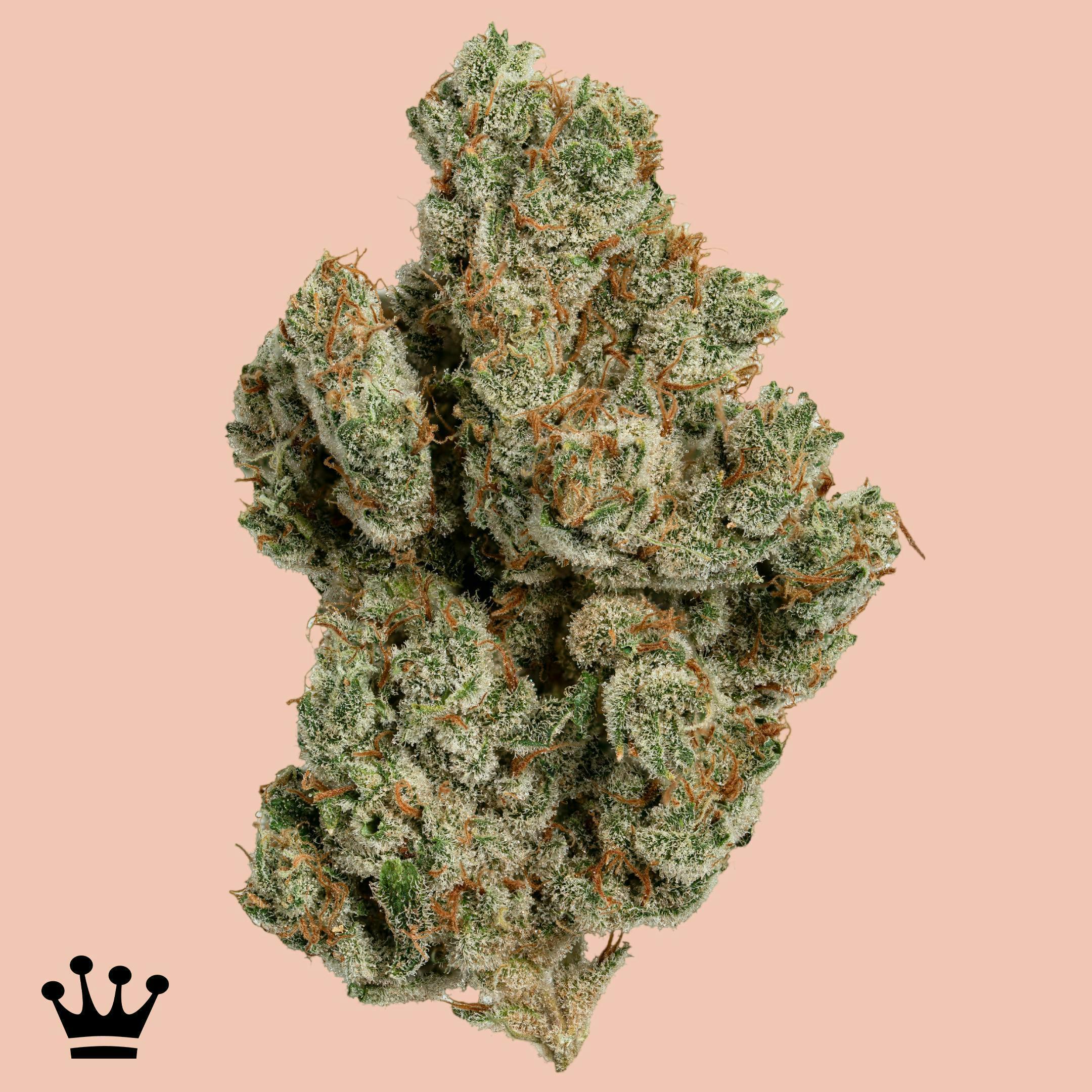 Kind & Co - Mango Mintality - 1