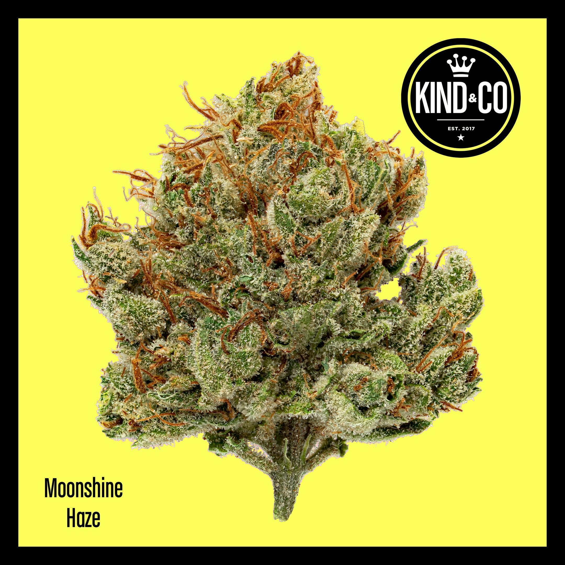 Kind & Co - Moonshine Haze - 1