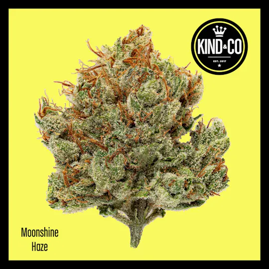 Kind & Co - Moonshine Haze - 1