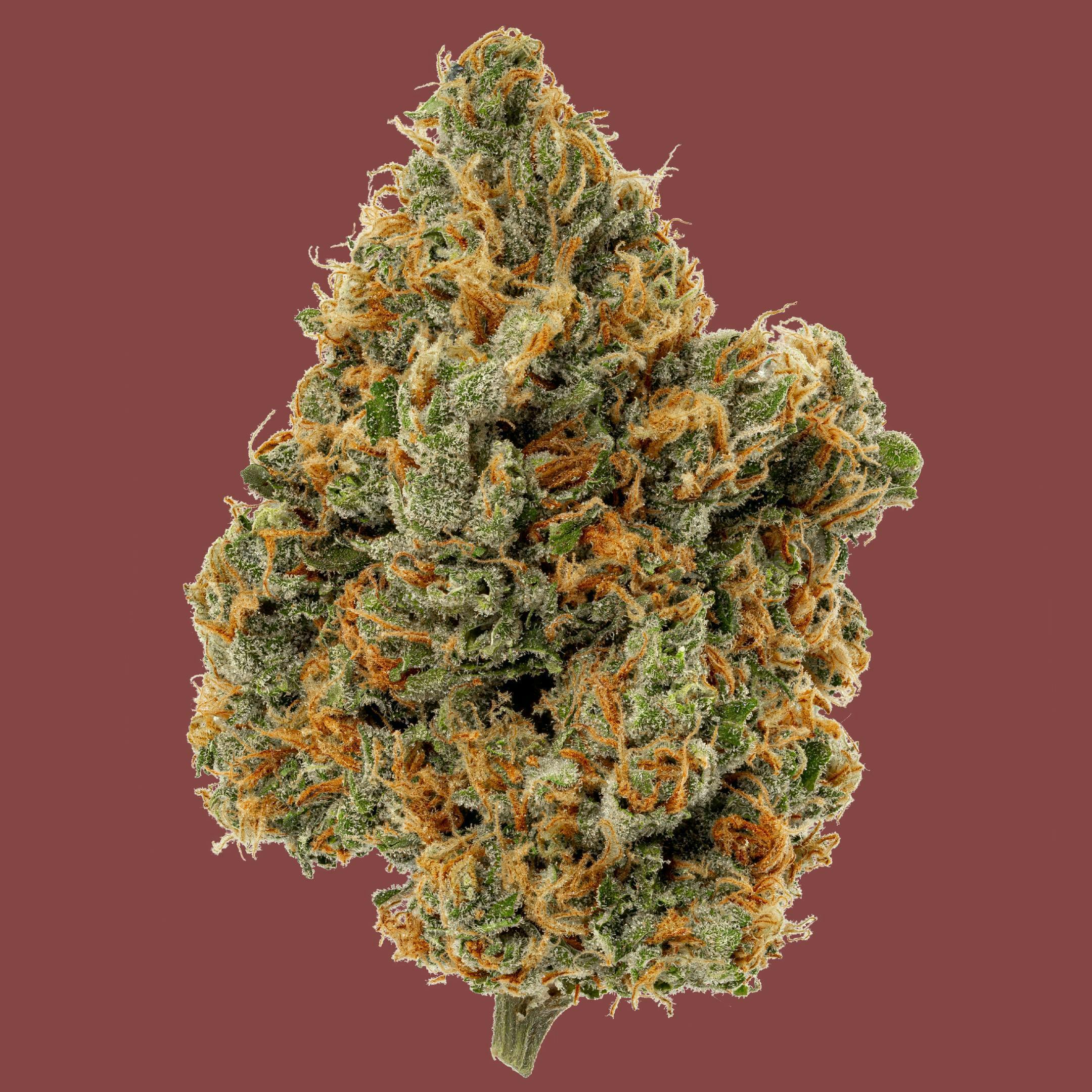 Kind & Co - Nigerian Haze - 1