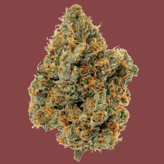 Kind & Co - Nigerian Haze - 1