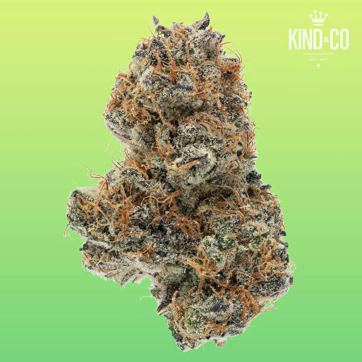 Kind & Co - Rainbow Belts - 1