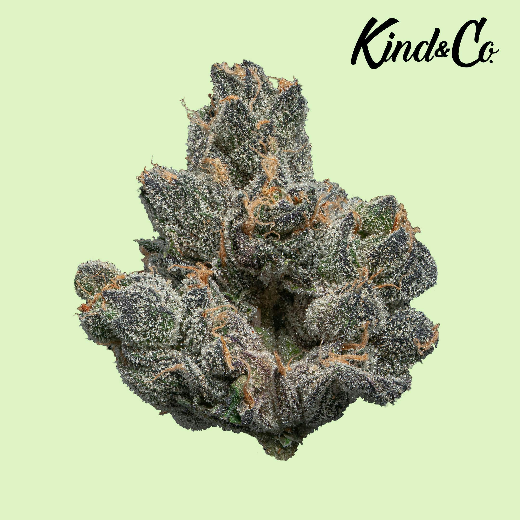 Kind & Co - Apples 'n' Bananas - 1