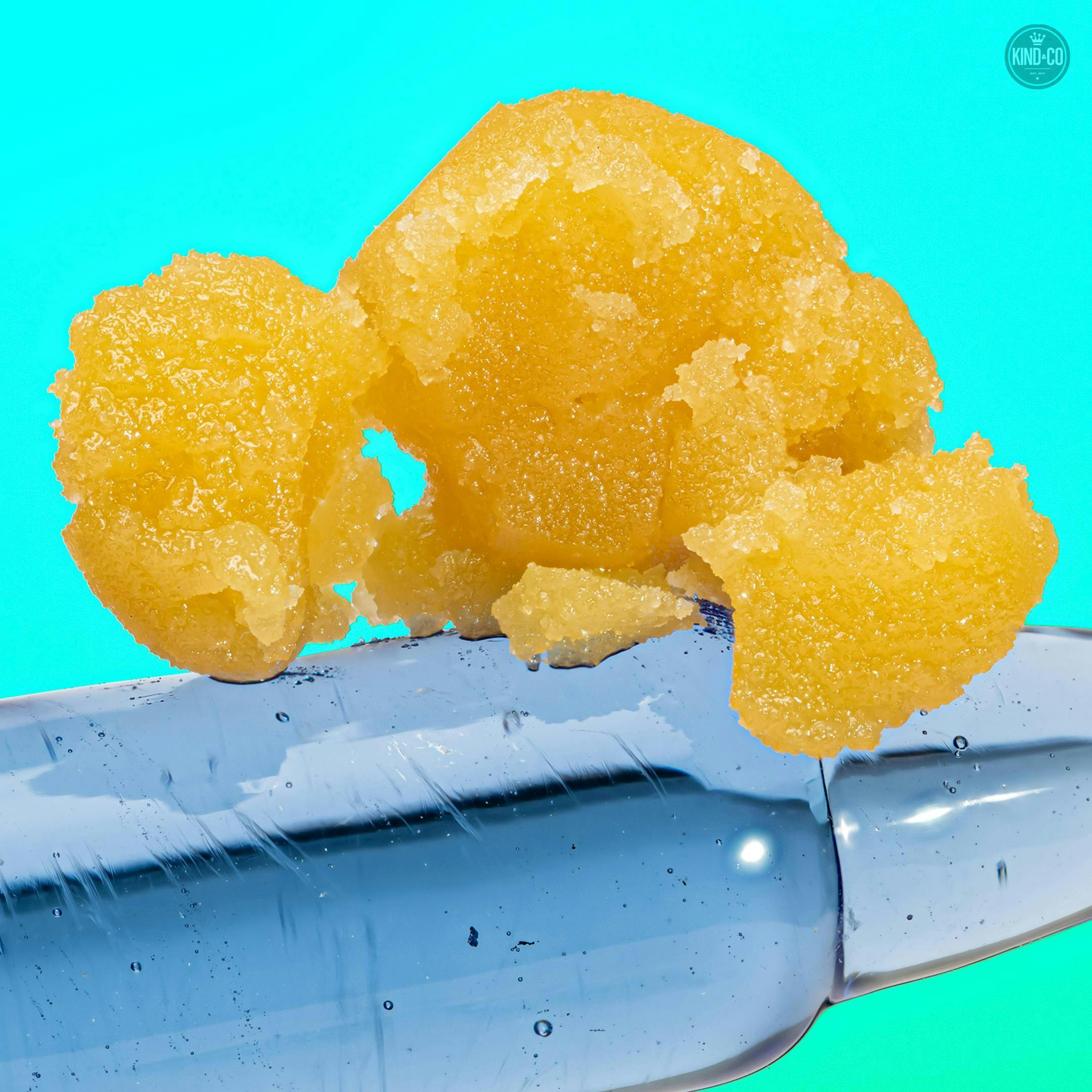 Kind & Co - Dutchman's Haze Badder // 1g - 1