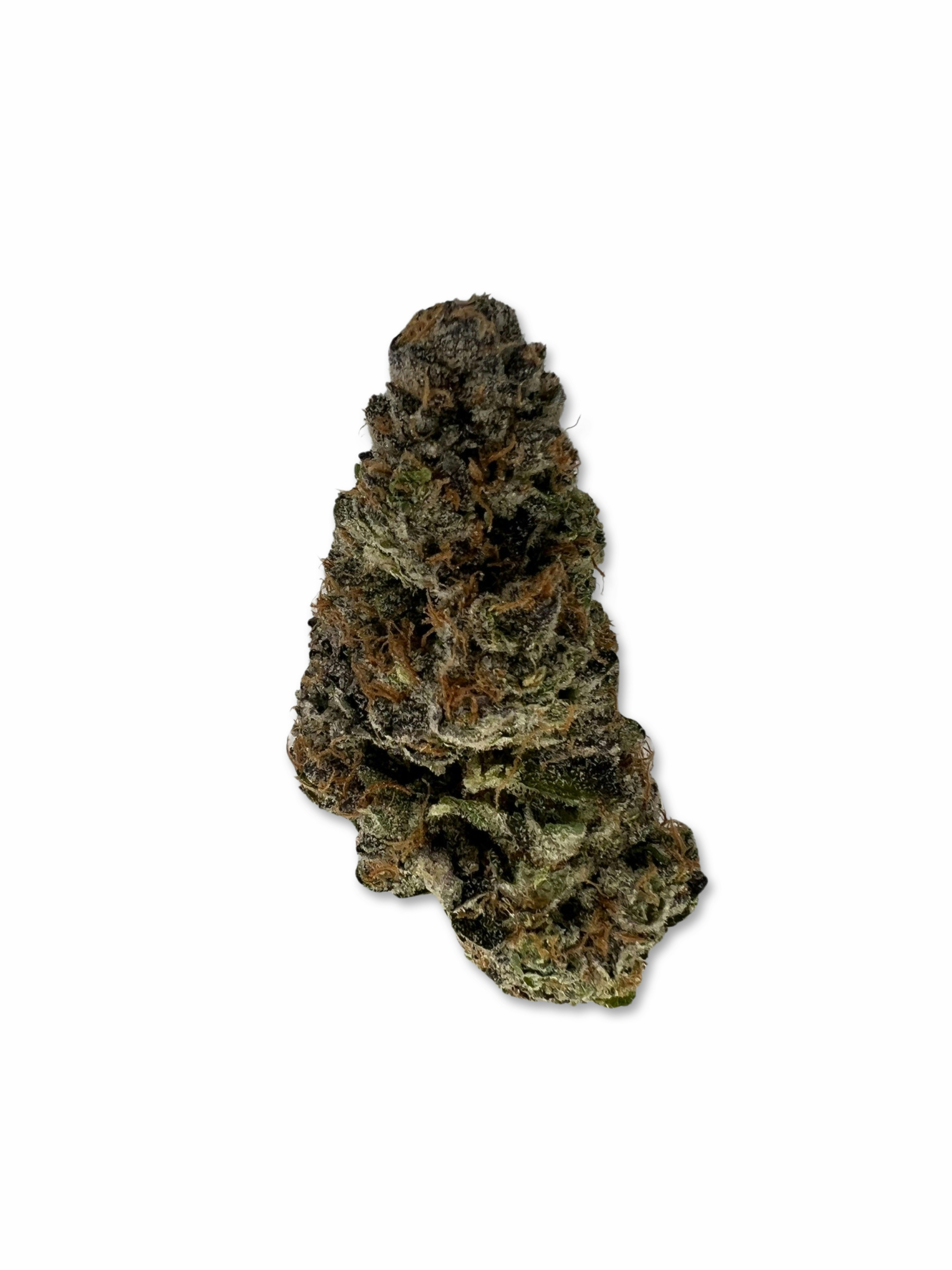 Indico - Rainbow Belts - Jar Co - 1