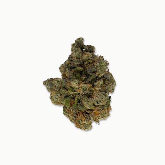 Indico - Citrus Scout - Jar Co - 1