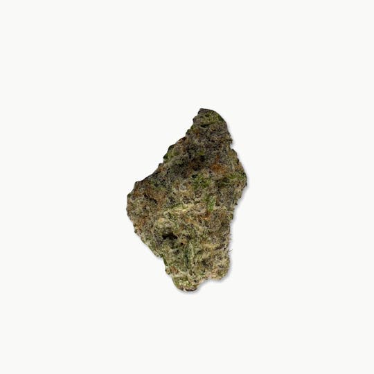 Indico - MAC - Jar Co - 1