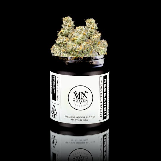 Maven Genetics - Grape Ambrosia x (Gary Payton x Banana Puffy #8) - 1