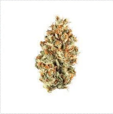 Smoakland - Smoakland | Red Pop | Big Buds | 28g - 1