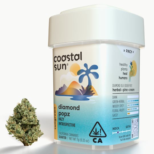 Coastal Sun - Diamond Popz Sungrown Flower 7g - 1