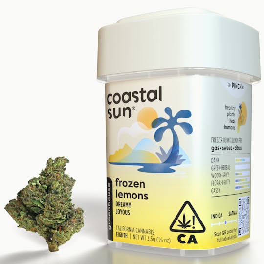 Coastal Sun - Frozen Lemons Greenhouse Flower 3.5g - 1