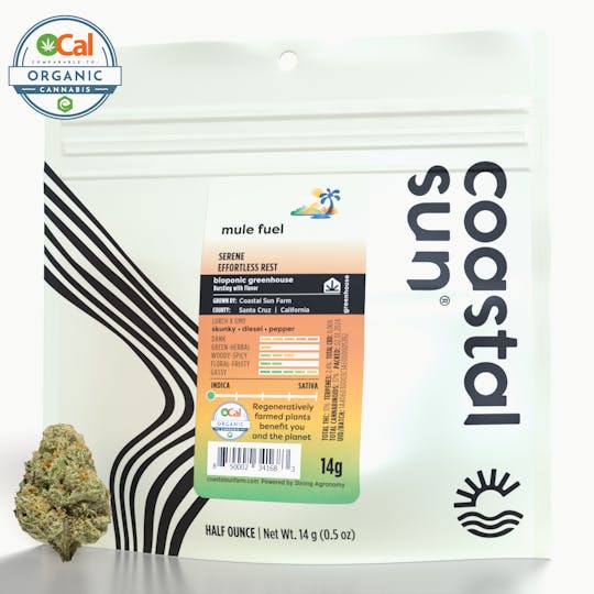 Coastal Sun - Mule Fuel Greenhouse Flower 14g - 1