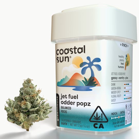 Coastal Sun - Jet Fuel Odder Popz Greenhouse Flower 3.5g - 1