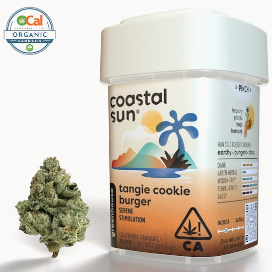 Coastal Sun - Tangie Cookie Burger Greenhouse Flower 3.5g - 1