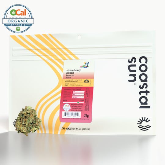 Coastal Sun - Strawberry Patch Sungrown Flower 28g - 1