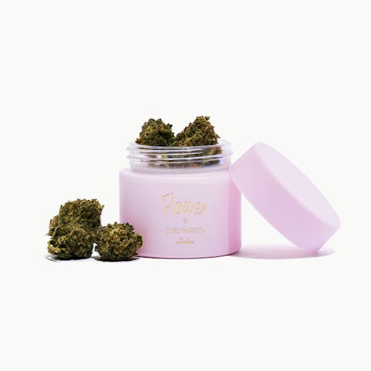 Flower by Edie Parker - Flower Pot | Nightcap | Indica - 1