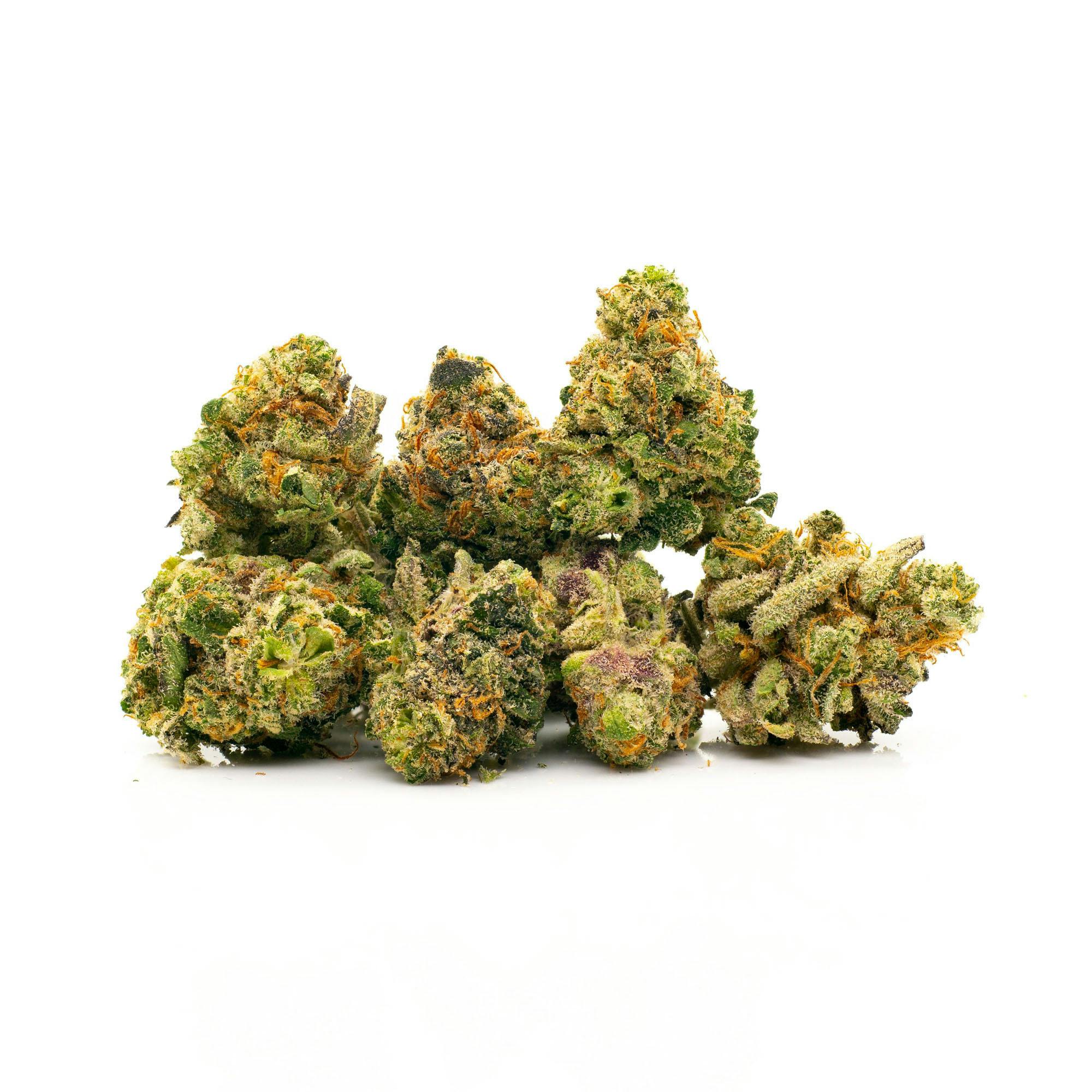 SAVAGE - Purple Punch 14g Indoor Flower Smalls/Bigs - 1