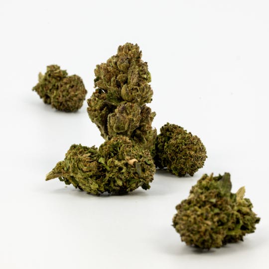 Dank By Definition - GOLDEN GOAT - 1