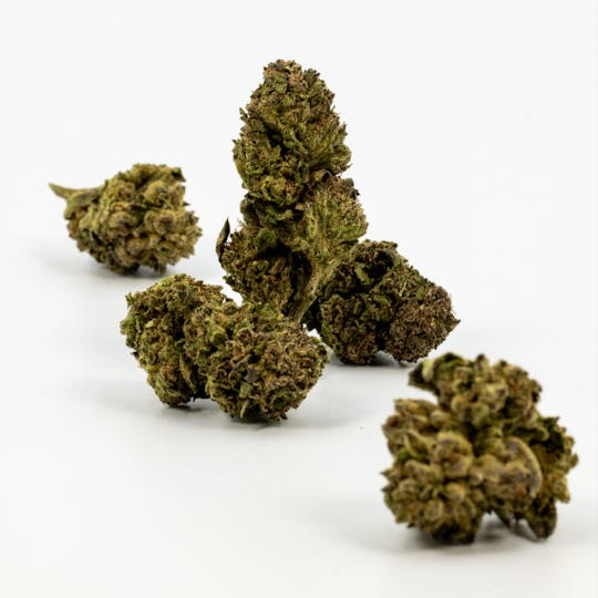 Dank By Definition - PINEAPPLE EXPRESS - 1