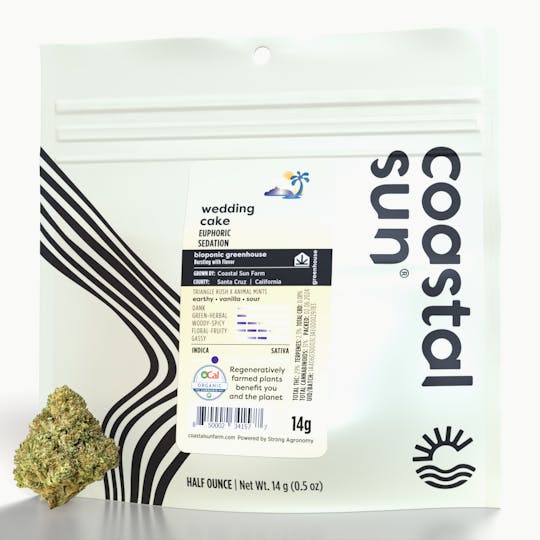 Coastal Sun - Wedding Cake Greenhouse Flower 14g - 1
