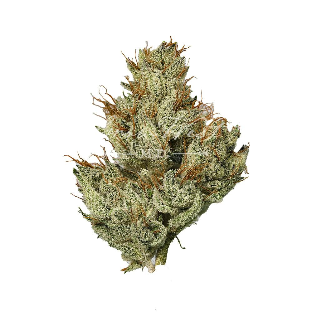 Grow West Cannabis Company - Chem 91 x Aliendawg Cherry | Reserve | Hand-Trimmed Flower | 3.5g - 1