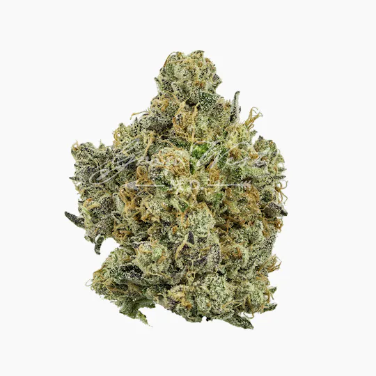 Grow West Cannabis Company - Electric Berry Bliss | Reserve | Hand-Trimmed Flower | 3.5g - 1