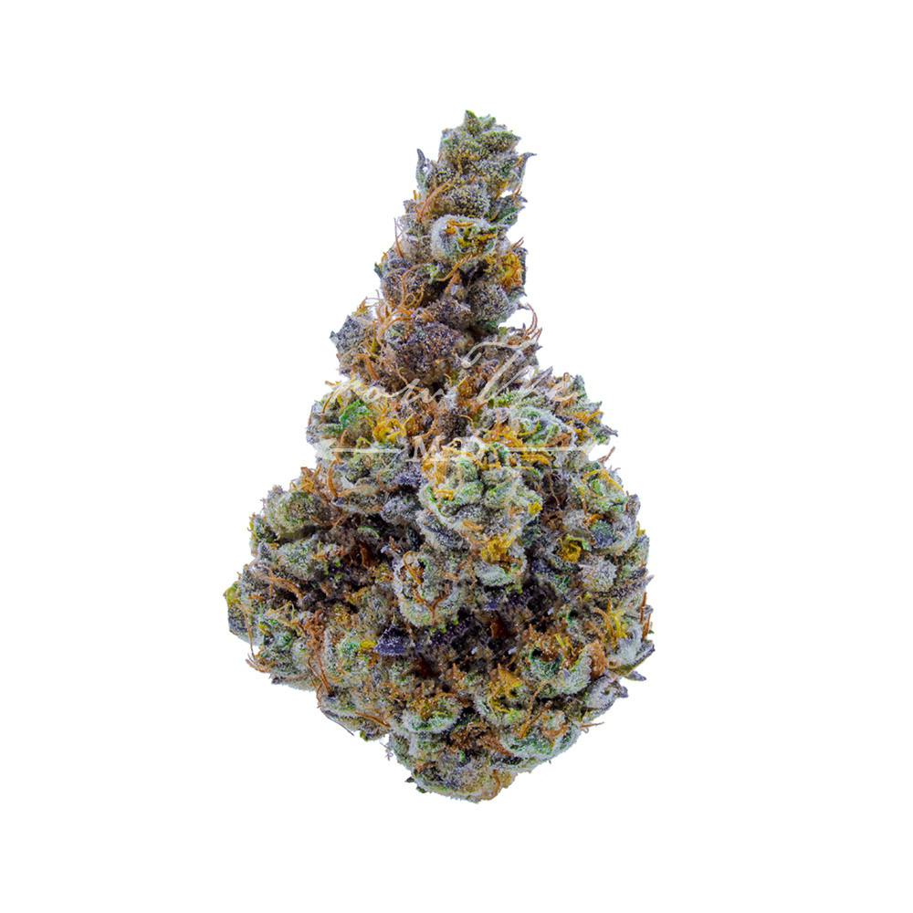 Grow West Cannabis Company - Forum Cookies x Aliendawg Cherry | Reserve | Hand-Trimmed Flower | 3.5g - 1