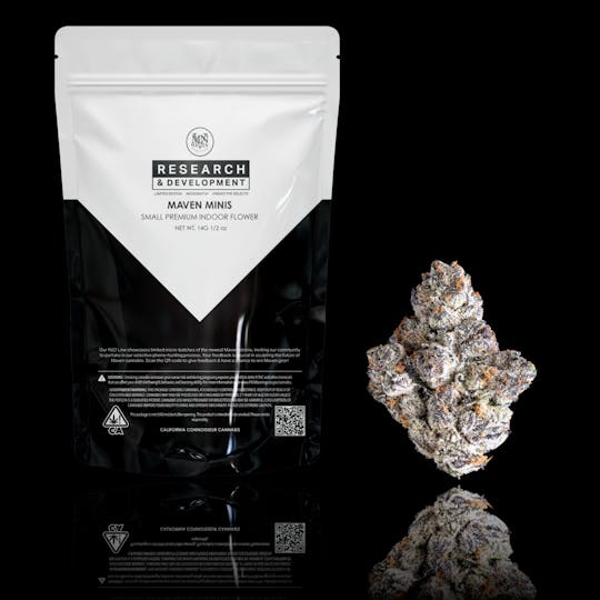 Maven Genetics - Golden Applez BX1 x Black Diamond X #2 - 1