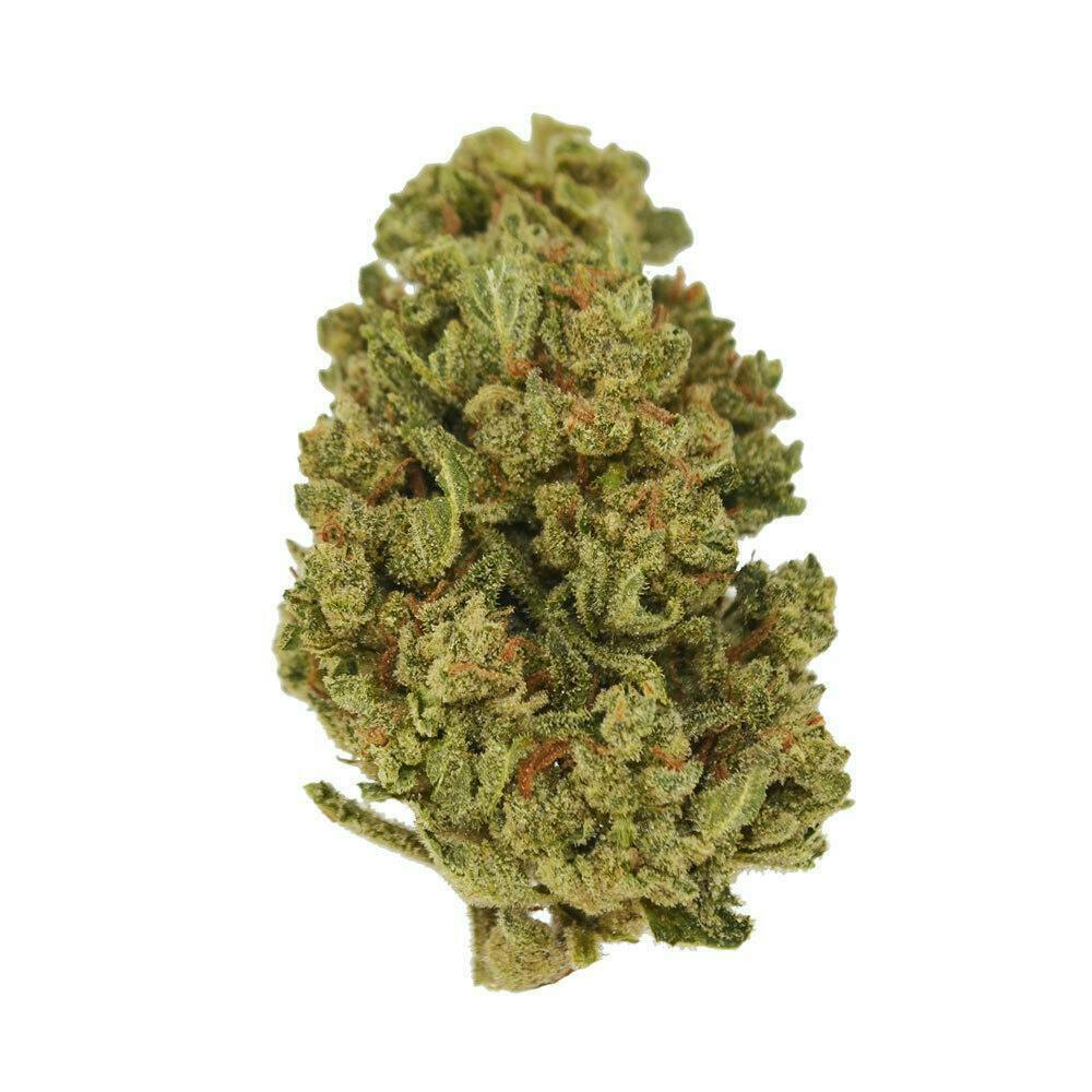 Smoakland - Sierra Hills | Jet Fuel | Big Buds | 28g - 1