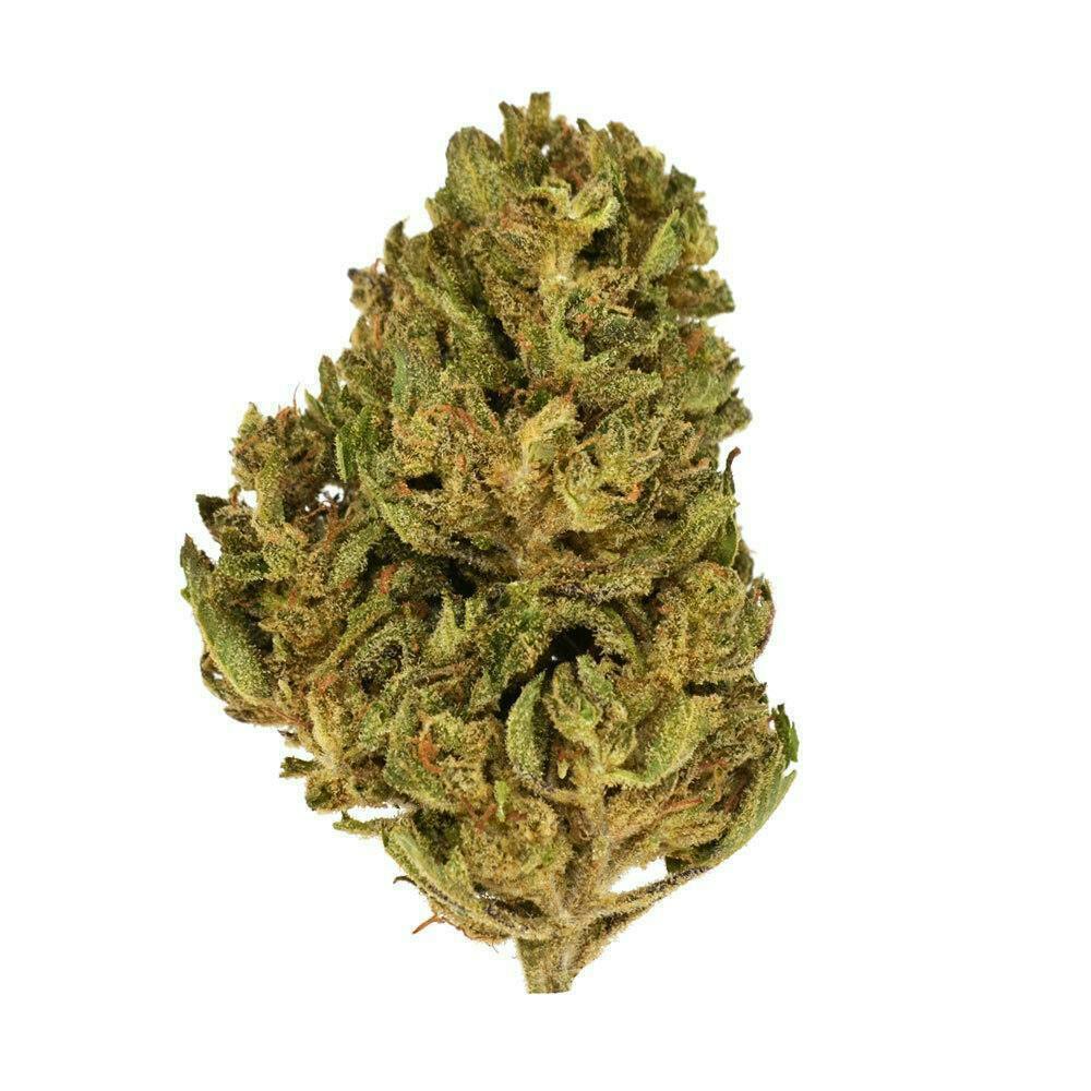 Smoakland - Smoakland Xclusivez | Fruity Pebbles (H) | Big Buds | 28g - 1