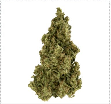 Smoakland - Smoakland Xclusivez | Fog Dog (I) | Big Buds | 28g - 1