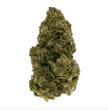 Smoakland - Smoakland Xclusivez | Fog Dog (H) | Big Buds | 28g - 1