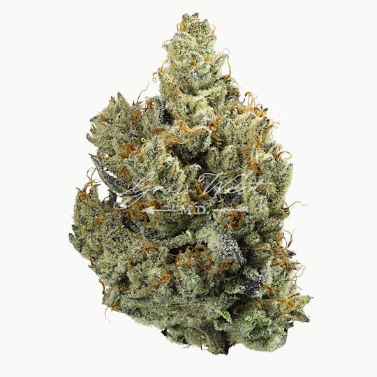 Grow West Cannabis Company - Shave Ice | Premium | Hand-Trimmed Flower - 1