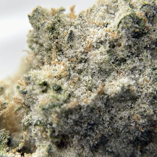 Twenty Two K / 22k - BLACK PEARL - Diamond Coated Indoor Flower - Cereal Milk - 3.5g | 1/8oz - 1