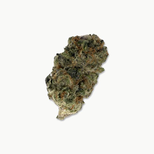 Indico - Bluenana - Elevate 420 - 1