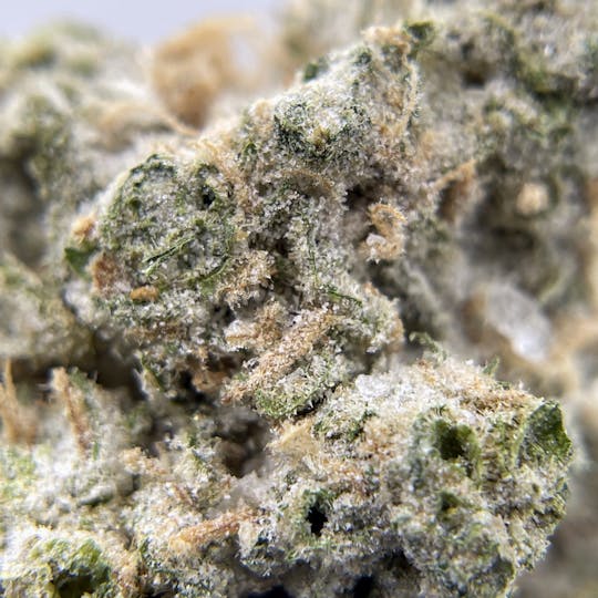 Twenty Two K / 22k - BLACK PEARL - Diamond Coated Indoor Flower - Blue Dream - 3.5g | 1/8oz - 1