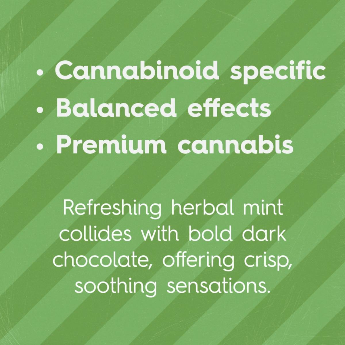 Sweet Talk - Sweet Talk | Mint Dark Chocolates | 100mg | 10ct | 10mg/ea - 1