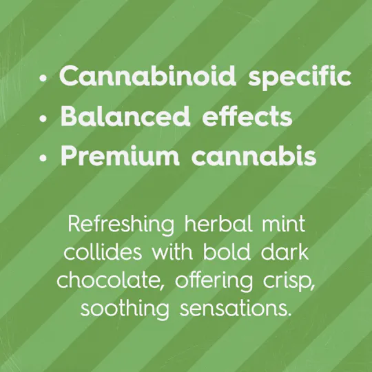 Sweet Talk - Sweet Talk | Mint Dark Chocolates | 100mg | 10ct | 10mg/ea - 1