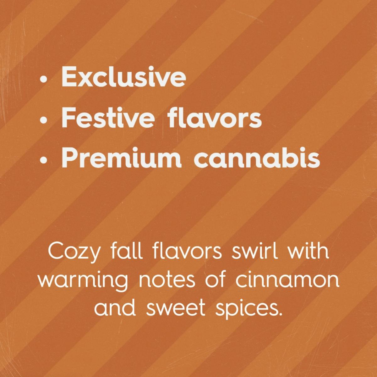 Sweet Talk - Sweet Talk | Pumpkin Spice Chocolates | 100mg | 10ct | 10mg/ea - 1
