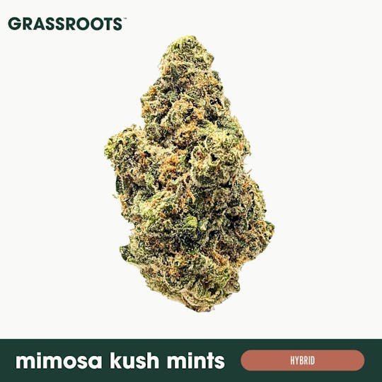 Grassroots - Mimosa Kush Mints - Flower - 1